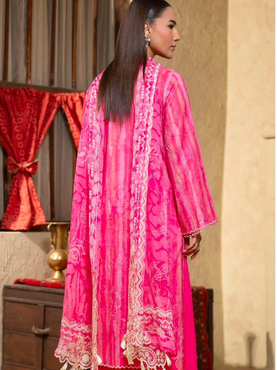 Pakistani Three Piece 28 — back view