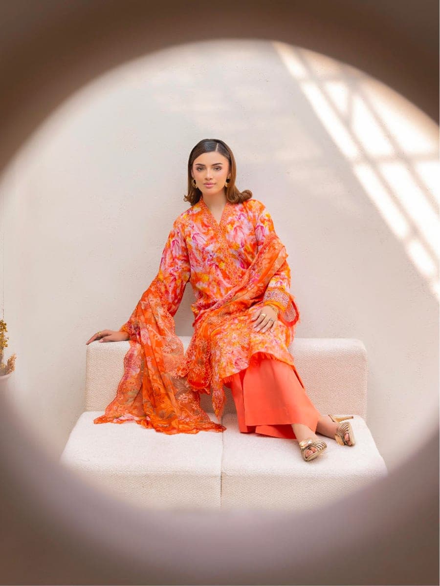 Pakistani Three Piece 36 — back view
