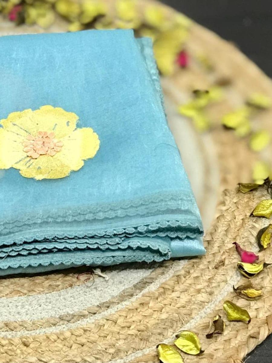 Indian Saree 09 — styling view