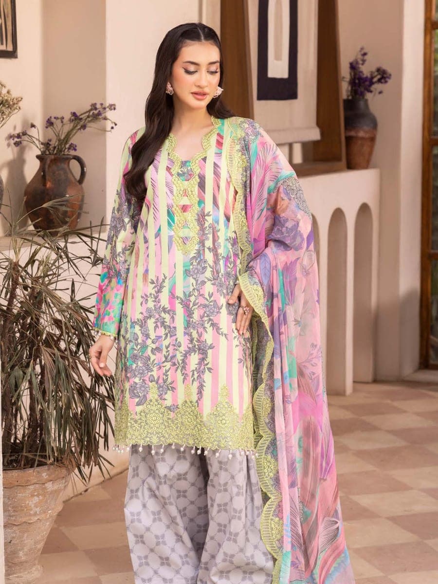 Pakistani Three Piece 24 — hero view