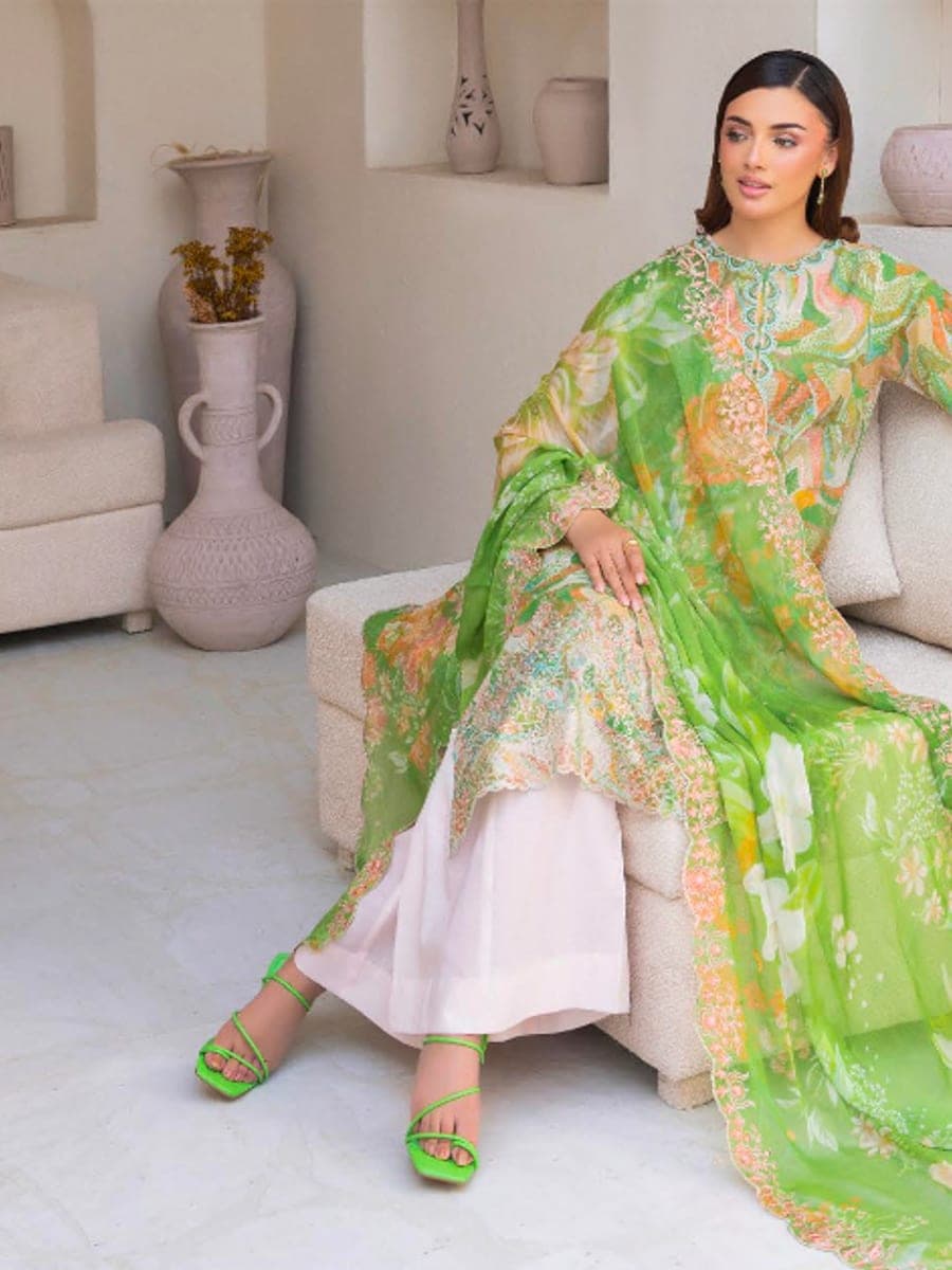 Pakistani Three Piece 41 — hero view